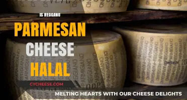 Reggano Parmesan Cheese: Halal or Not?
