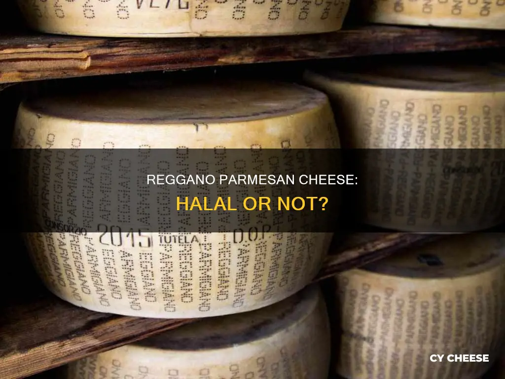 is reggano parmesan cheese halal