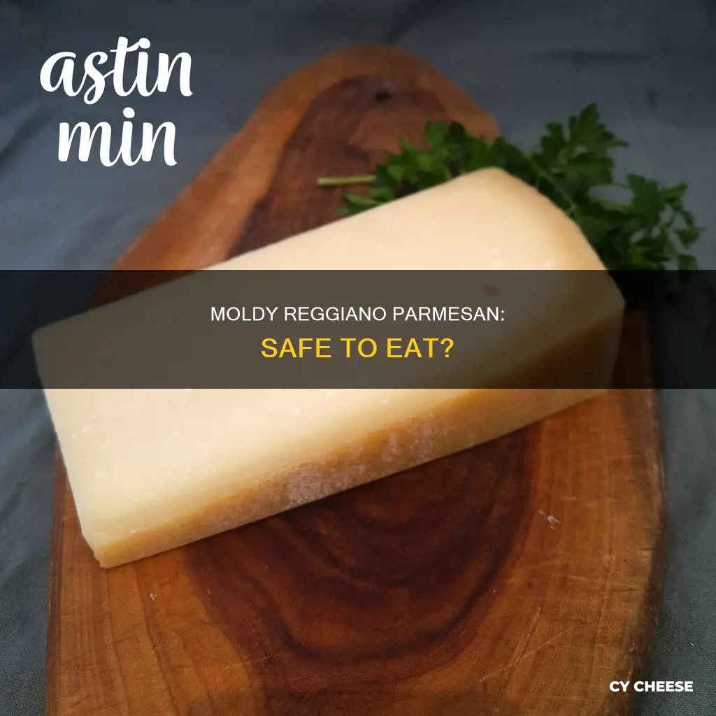 is reggiano parmesan cheese okay with mold on it