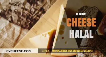 Is Rennet Cheese Halal? Exploring Ingredients and Islamic Dietary Laws