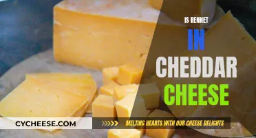 Unveiling the Secret: Is Rennet in Cheddar Cheese?