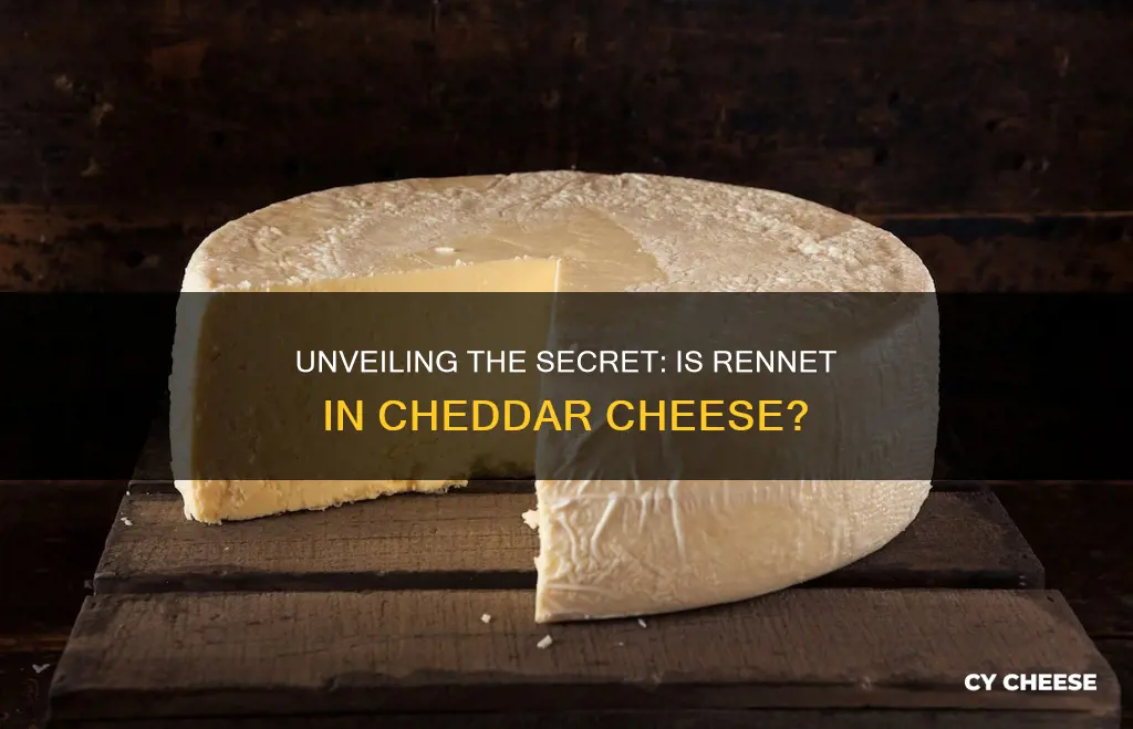 is rennet in cheddar cheese