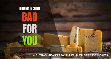 The Truth About Rennet in Cheese: Is It Harmful?