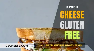 Gluten-Free Cheese: Understanding Rennet's Role