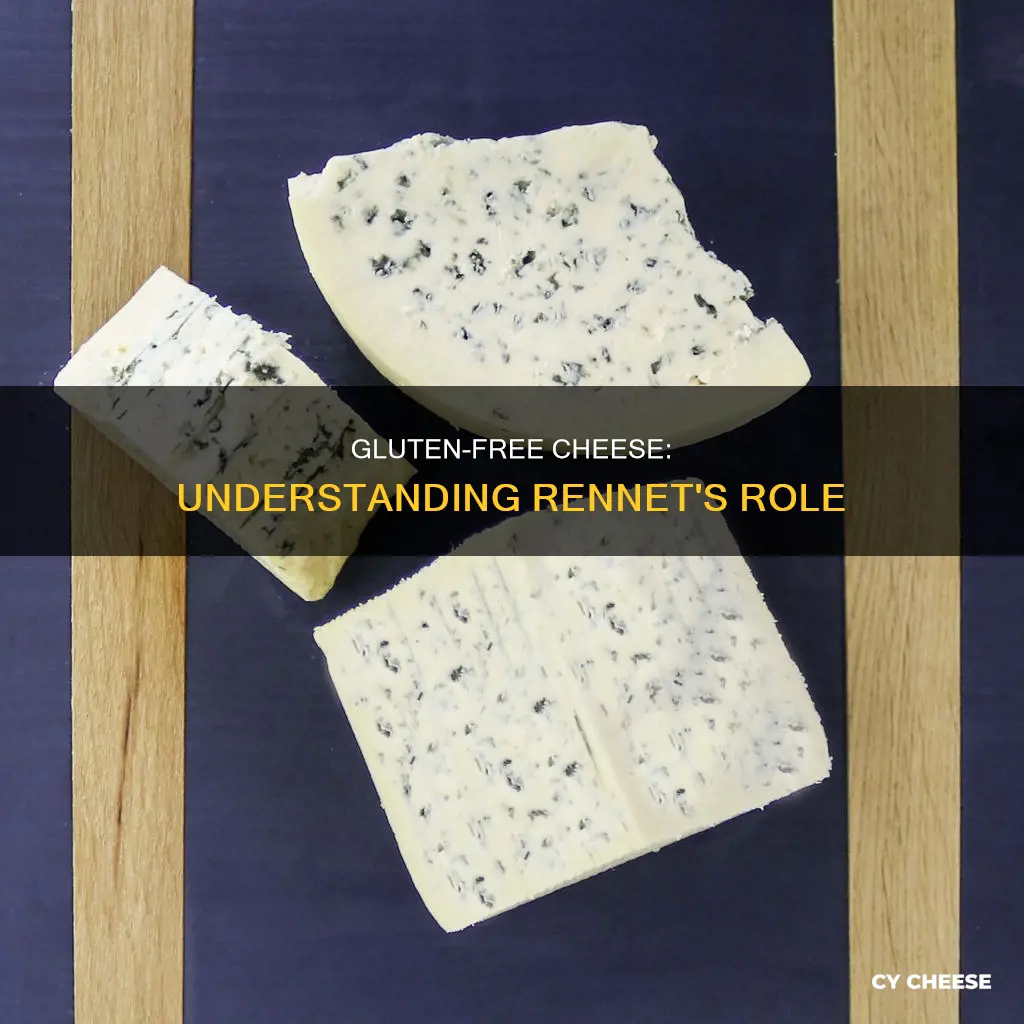 is rennet in cheese gluten free
