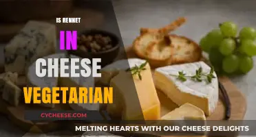 Is Rennet in Cheese Vegetarian? Unraveling the Dairy Dilemma