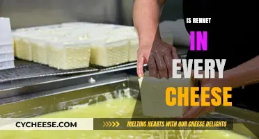 Is Rennet in Every Cheese? Uncovering the Truth About Cheese Production