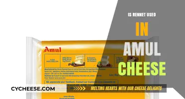 Amul Cheese: Rennet-Free or Not?
