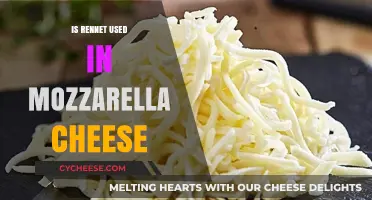 Rennet Usage in Mozzarella: What You Need to Know