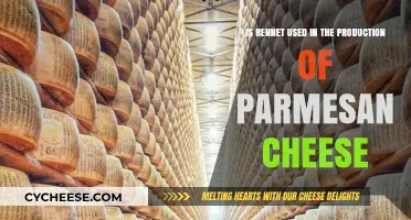 Rennet's Role in Parmesan Cheese Production