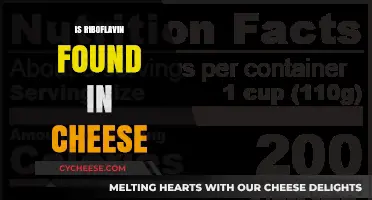 Is Riboflavin in Cheese? Uncovering Its Nutritional Benefits