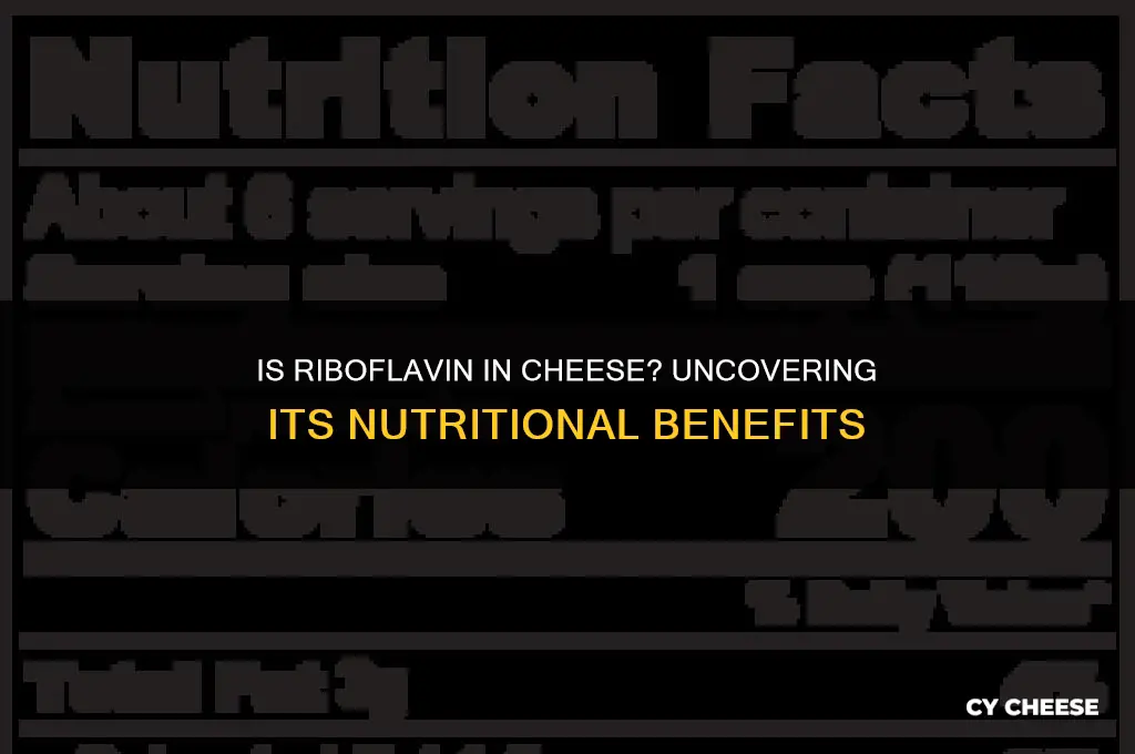 is riboflavin found in cheese