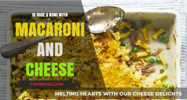 The Ultimate Comfort Food: Rice-A-Roni Mac and Cheese