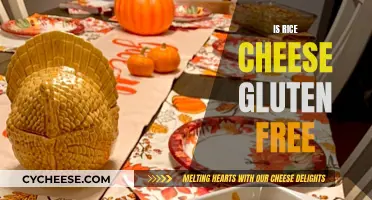 Rice Cheese: A Gluten-Free Option?