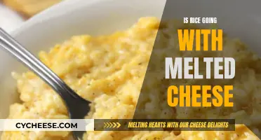 Cheese and Rice: A Delicious Combination
