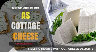 Ricotta vs Cottage Cheese: Unraveling the Dairy Difference