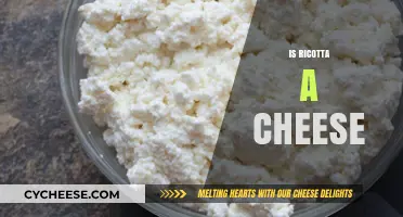 Is Ricotta a Cheese? Unraveling the Creamy Italian Mystery