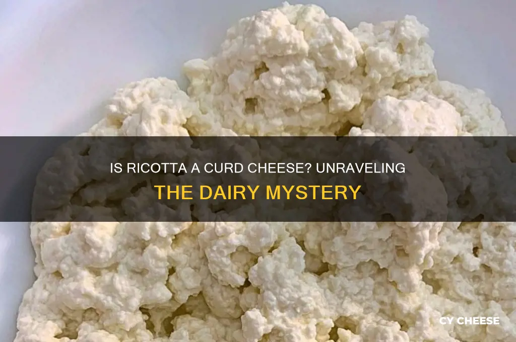 is ricotta a curd cheese