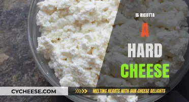 Is Ricotta a Hard Cheese? Exploring Its Texture and Uses