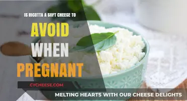 Pregnancy and Ricotta: Is This Soft Cheese Safe to Eat?