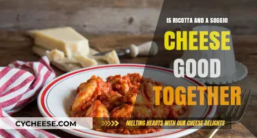 Ricotta and Soggio Cheese: A Perfect Pairing or Culinary Clash?