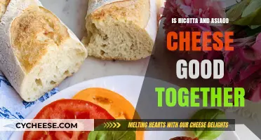 Ricotta and Asiago Cheese: A Perfect Pairing or Culinary Clash?