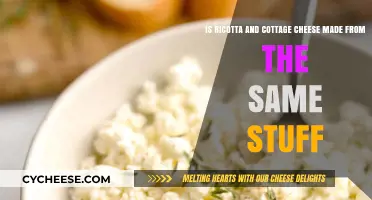 Ricotta vs. Cottage Cheese: Same Ingredients, Different Textures?
