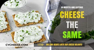 Ricotta vs. Cottage Cheese: Unraveling the Dairy Aisle Confusion
