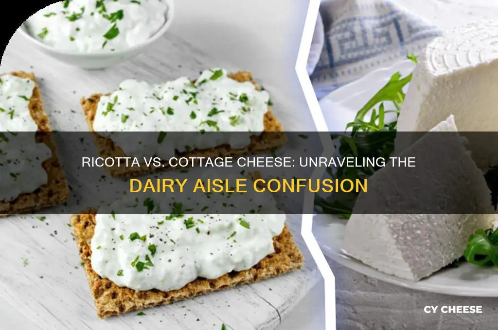is ricotta and cottage cheese the same
