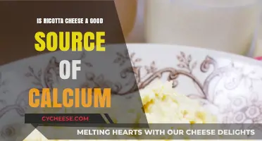 Ricotta Cheese and Calcium: A Nutritious Dairy Choice?