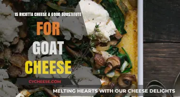 Ricotta vs. Goat Cheese: A Tasty Substitute or Missed Mark?