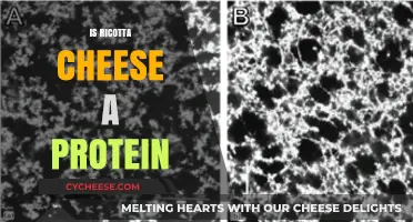 Ricotta Cheese: A Surprising Protein Source or Dairy Myth?