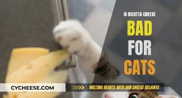 Ricotta Cheese: A Cat-astrophic Treat?