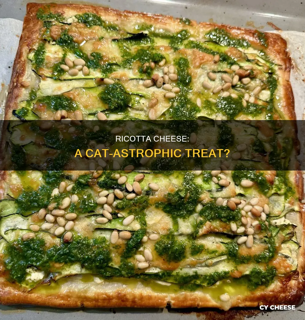 is ricotta cheese bad for cats