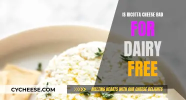 Ricotta Cheese: Friend or Foe for Dairy-Free Diets?