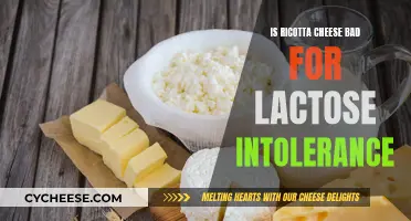 Ricotta Cheese: A Lactose Intolerant's Friend or Foe?