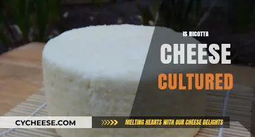 Is Ricotta Cheese Cultured? Unraveling the Dairy Mystery