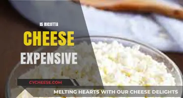 Is Ricotta Cheese Expensive? Exploring Costs and Budget-Friendly Options