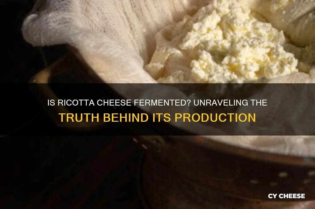 is ricotta cheese fermented