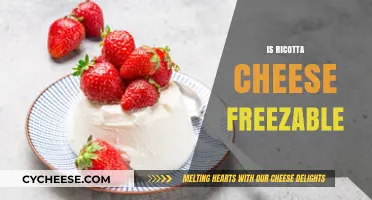 Can You Freeze Ricotta Cheese? A Complete Guide to Freezing Tips