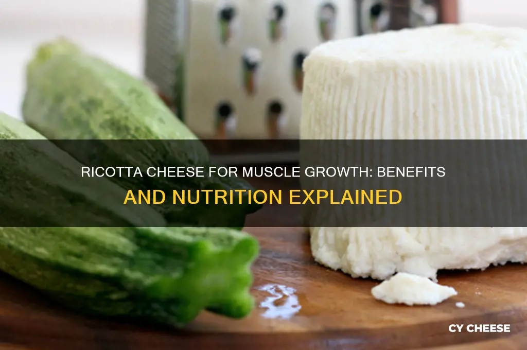 is ricotta cheese good for building muscle