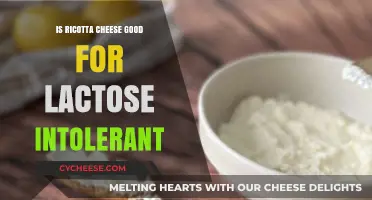 Can Lactose Intolerant Enjoy Ricotta Cheese? A Digestive Dilemma