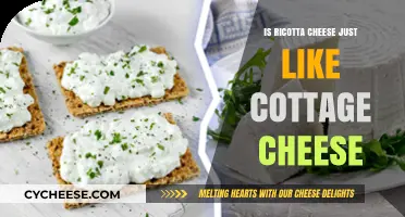 Ricotta vs. Cottage Cheese: Unraveling the Differences and Similarities