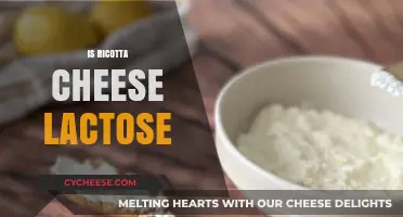Is Ricotta Cheese Lactose-Free? Unraveling the Dairy Dilemma