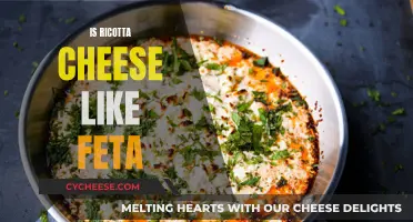 Ricotta and Feta: A Cheesy Comparison