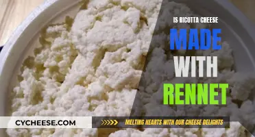 Rennet's Role in Ricotta Cheese Production