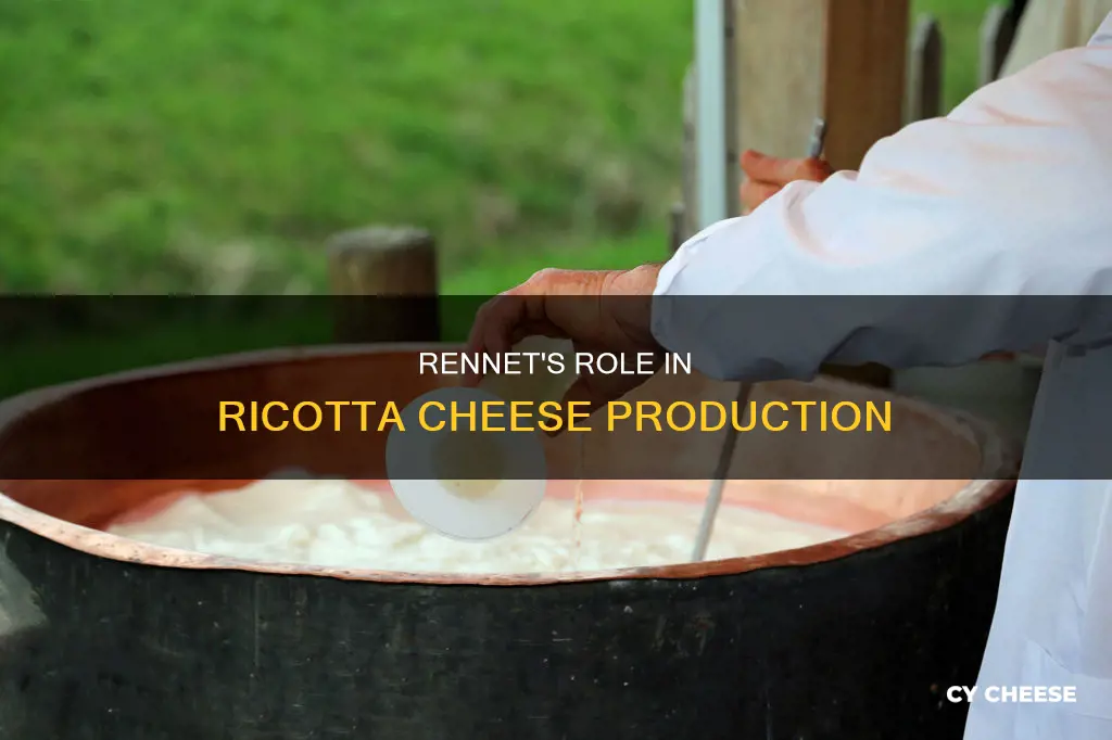 is ricotta cheese made with rennet