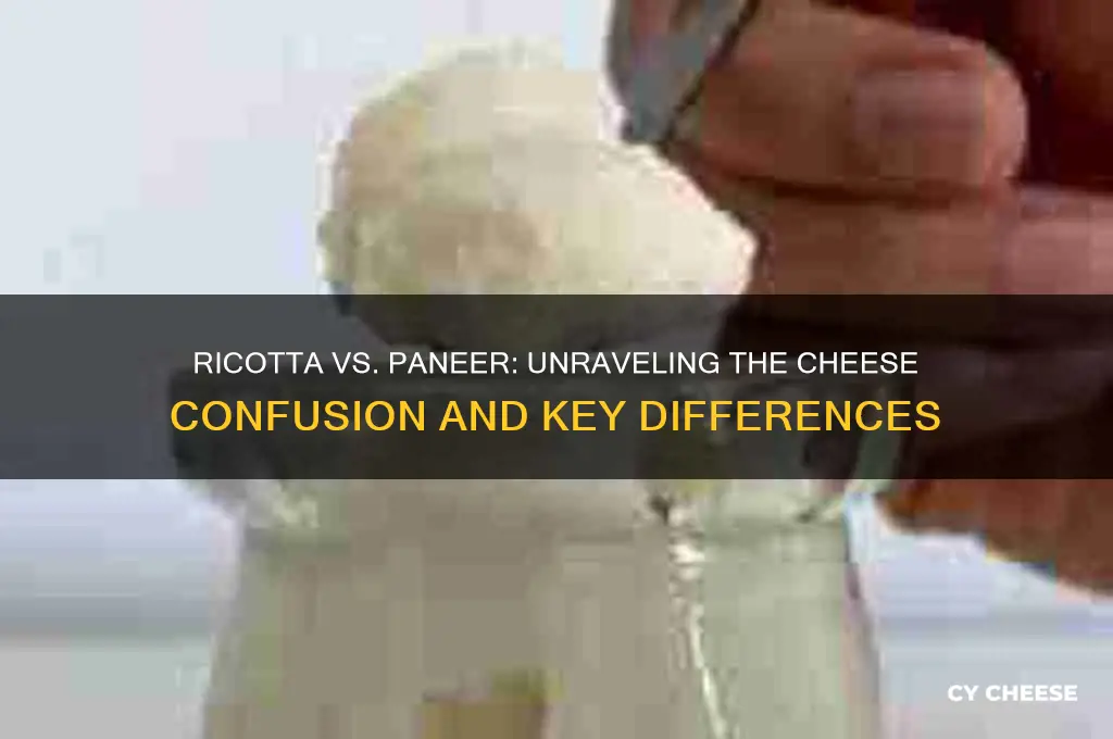is ricotta cheese paneer