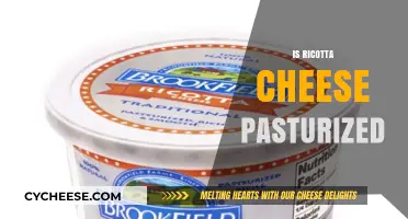 Is Ricotta Cheese Pasteurized? Understanding Its Safety and Production