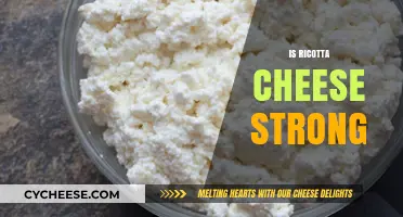 Is Ricotta Cheese Strong? Exploring Its Mild Flavor and Texture